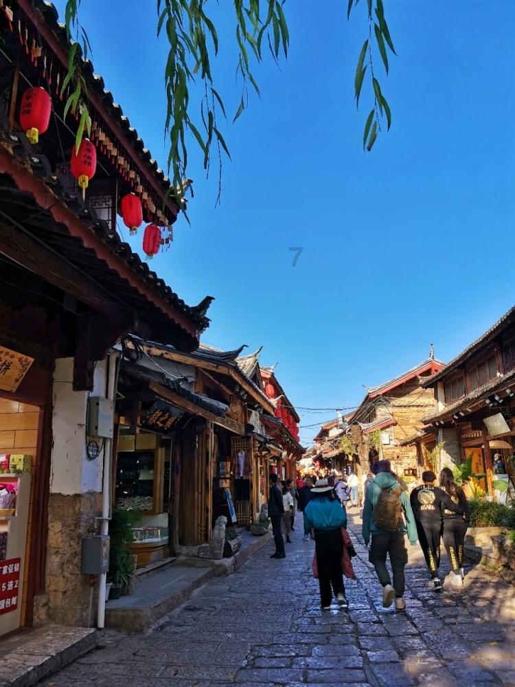 探索请问这是什么树的花啊?,开启知识星球平台